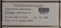 Image Associated With the Occurence